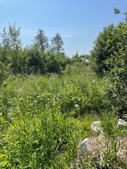 Участок 6 сот. (СНТ, ДНП)