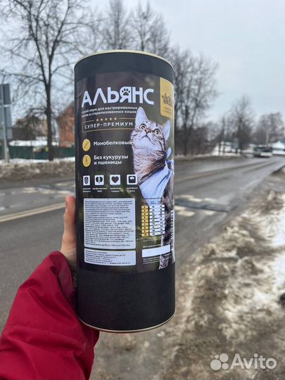 Корм для кошек и собак