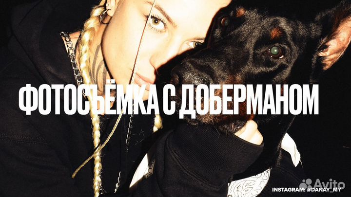 Фотосессия с доберманом