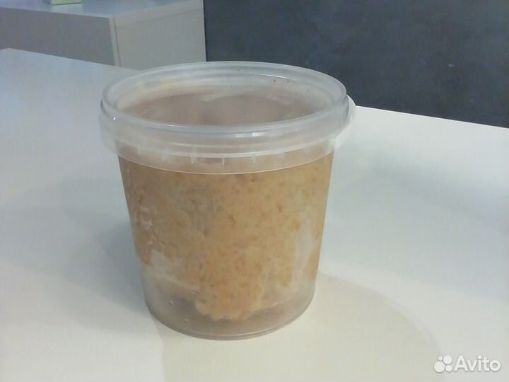 Прикормка для рыбалки