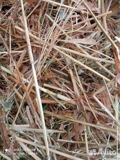 Сено. Солома. Доставка сена