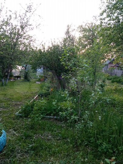 Участок 12,2 сот. (ИЖС)