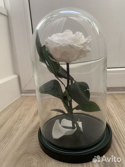 Вечная роза в колбе