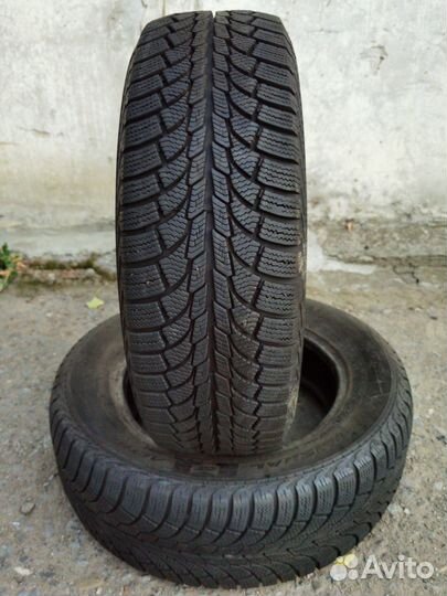 General Tire Altimax Nordic 12 195/65 R15 95T