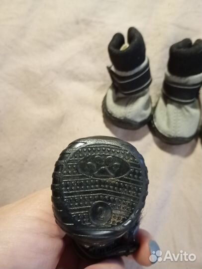 Ботинки для маленьких собак