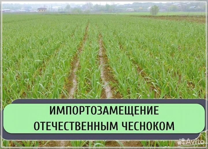 Инвестиции в готовый бизнес