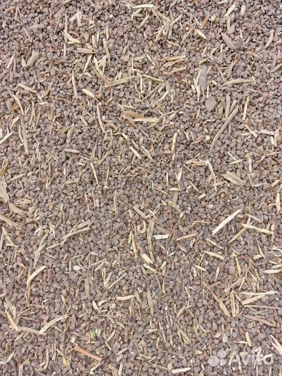 Гречка фуражная