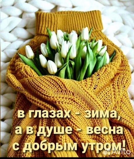Тюльпаны, Розы с доставкой, все цветы