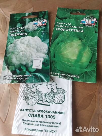 Рссада. капусты