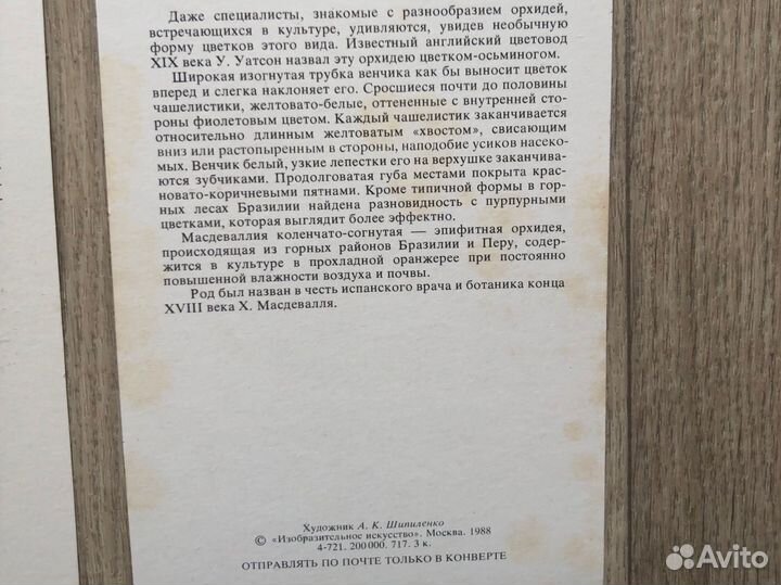 Винтажные ботанические иллюстрации орхидеи