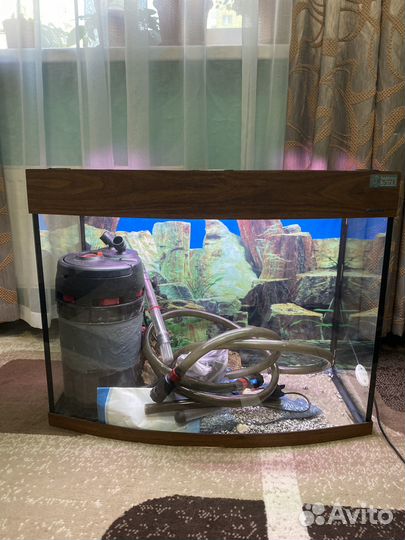 Аквариум