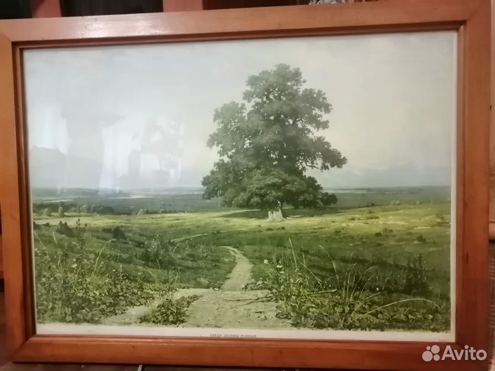 Картина Шишкина