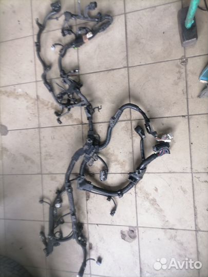 Проводка коса Toyota Rav 4 2021года