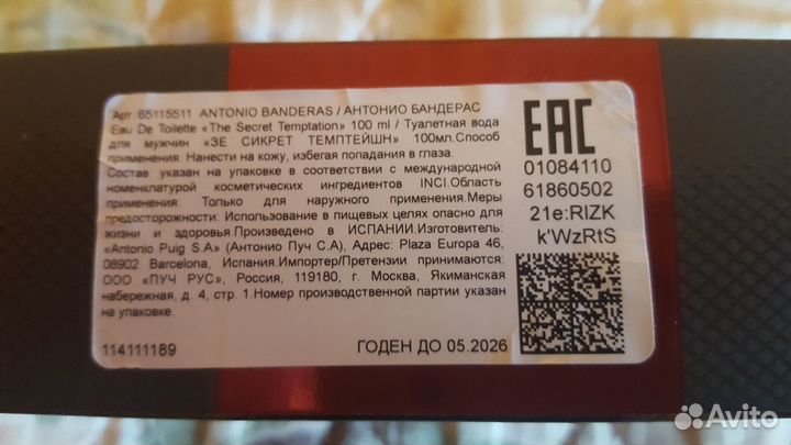 Antonio banderas the secret temptation