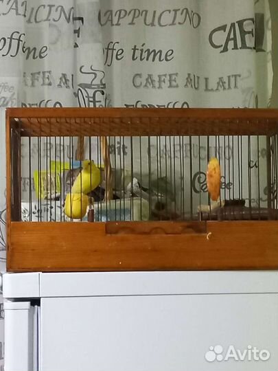 Клетки для птиц