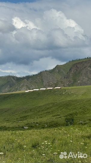 Лучший отпуск - в Горном Алтае. Тур на 5 дней