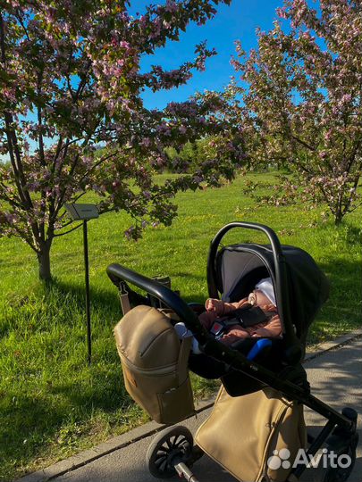 Коляска 3 в 1 anex