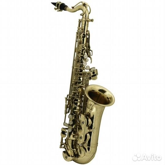 Саксофон Roy Benson AS-201 альт для детей