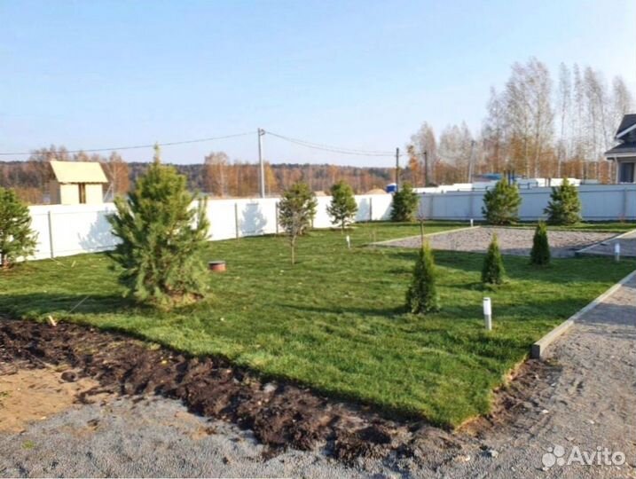 Рулонный газон из собственного питомника