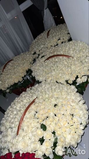 Белые розы Корзина Ставрополь Доставка