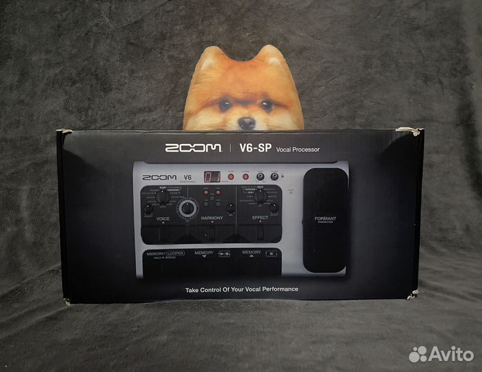 Вокальный процессор Zoom V6-SP