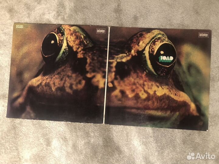 Toad – Toad, 1st pressing, NM, Mega Rare