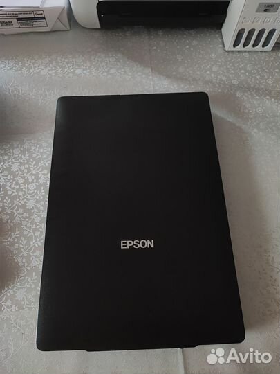 Сканер Epson Perfection V19
