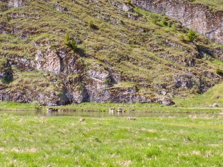 Участок 15,4 сот. (ИЖС)