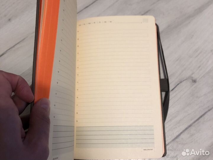 Ежедневник bruno visconti