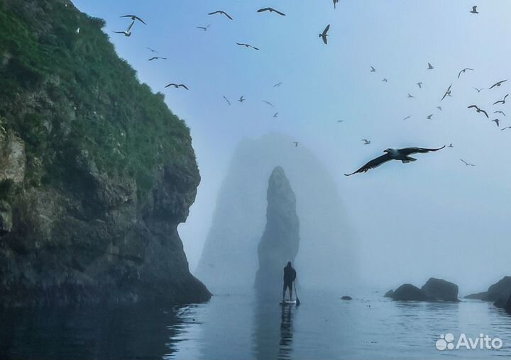 Экспедиция на о. Шикотан