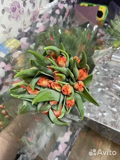 Цветы с доставкой тюльпаны