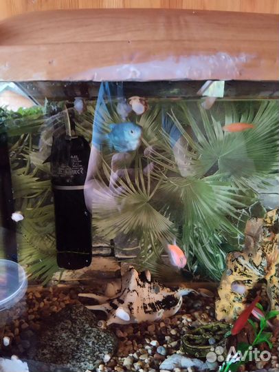 AguaPlus. На 50 литров