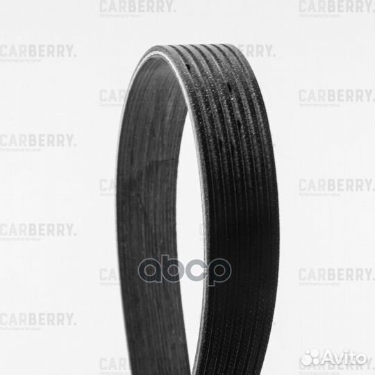 Universal 7PK1905 carberry