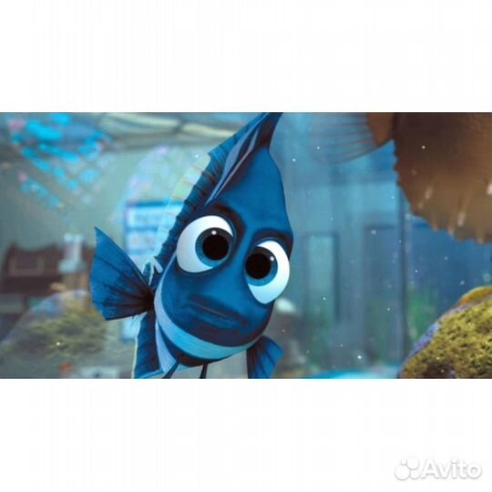 В поисках Немо (2DVD)