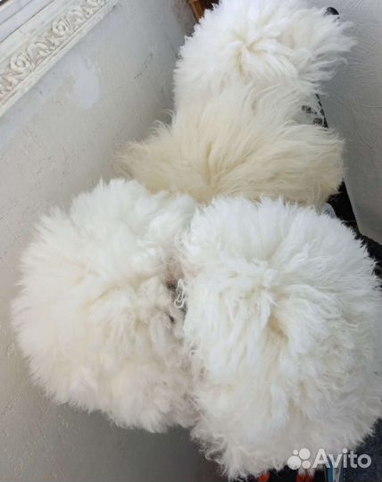 Папахи горские,продажа и прокат