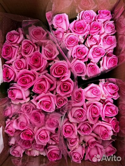 Цветы оптом - розы оптом