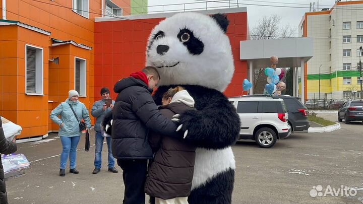 Экспресс поздравление мишка, панда и другие