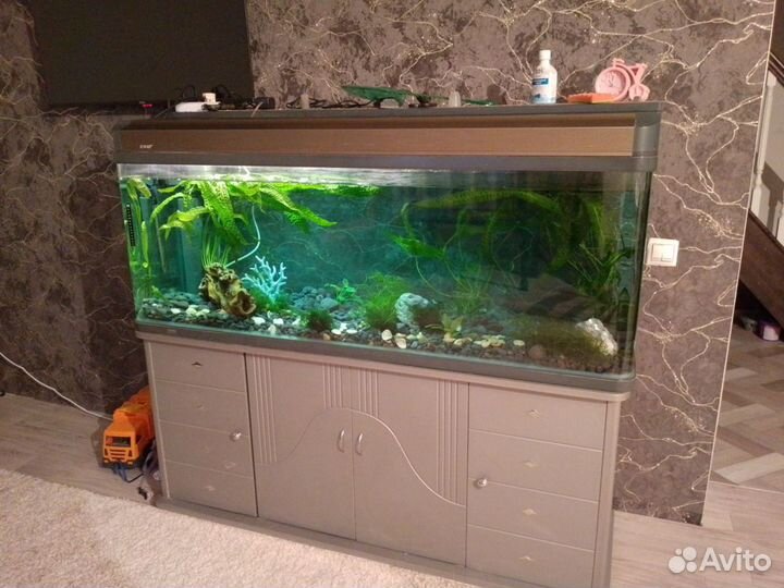 Аквариум