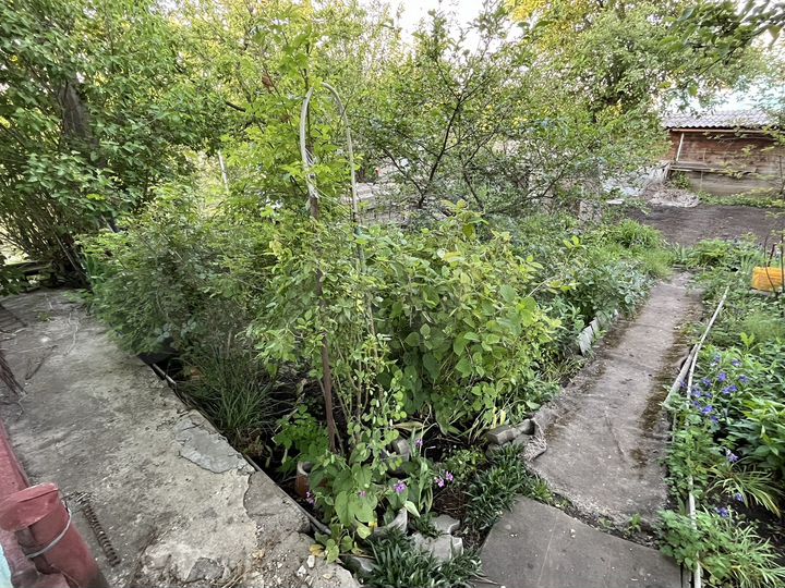 Дача 22 м² на участке 5 сот.