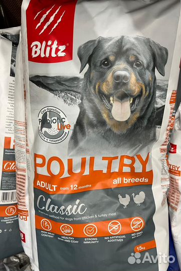 Blitz Classic Adult сухой корм для взрослых собак