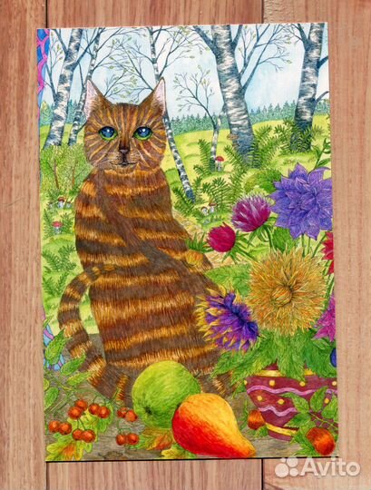 Большой набор почтовых открыток с котиками 36 штук