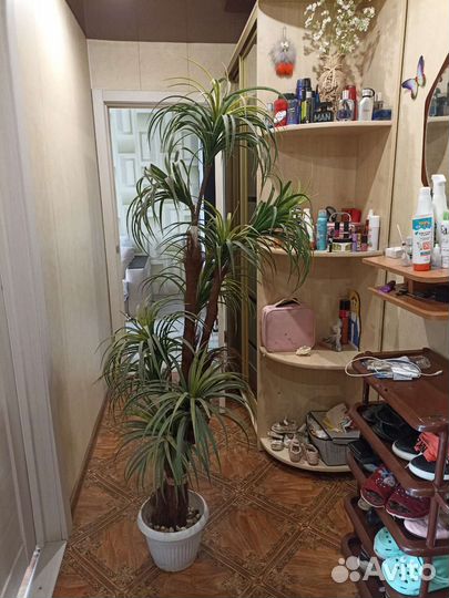 Искусственная пальма бу