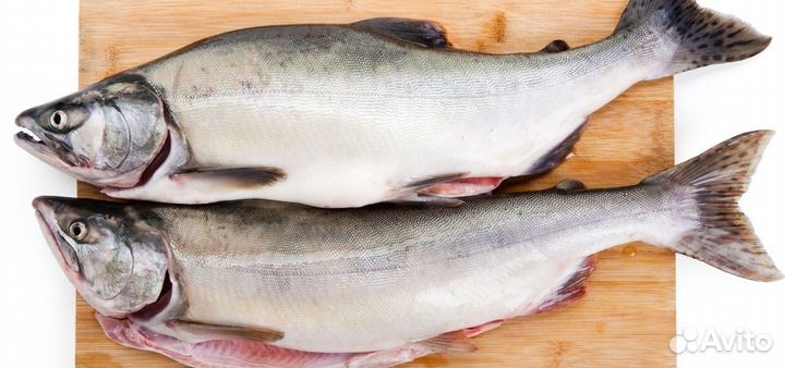 Горбуша свежий улов