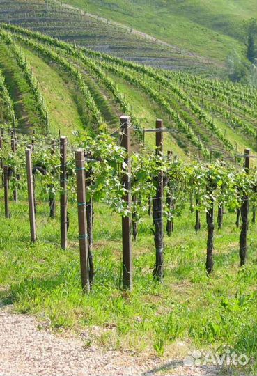 Оборудование для производства столбов, шпалеры