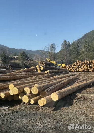 Продам лес кругляк