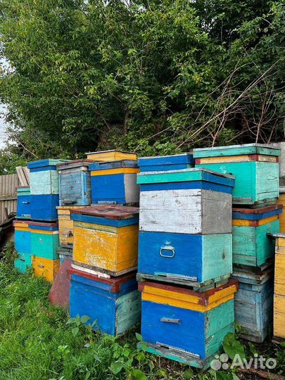 Улья для пчел бу