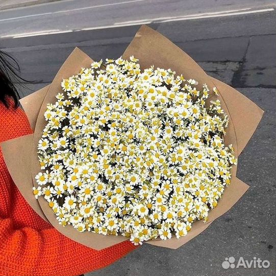 Доставка цветов. Ромашки