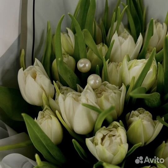 Тюльпаны / Букет тюльпанов / Цветы