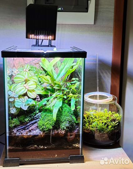 Светильник для аквариума