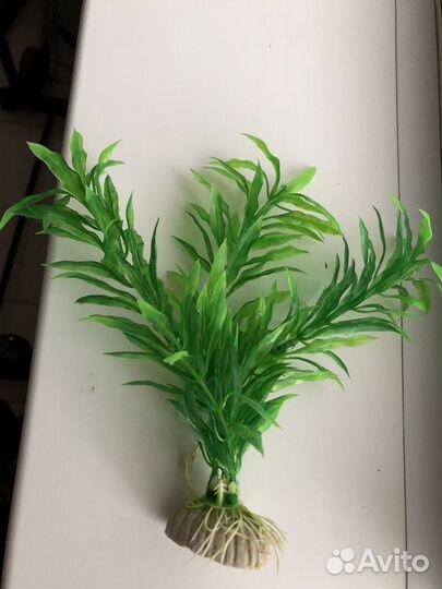 Растения для аквариума пластик